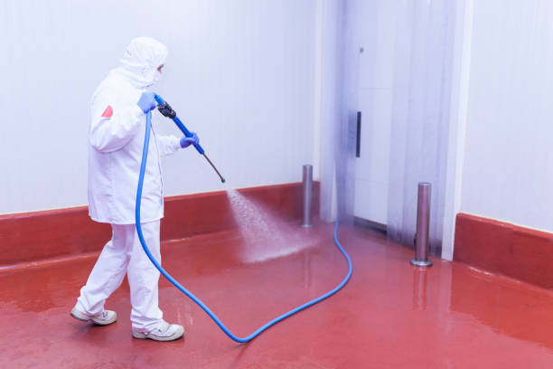 Best Driveway Pressure Washing  in Painted Post, NY